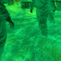 gif of a green lava lamp